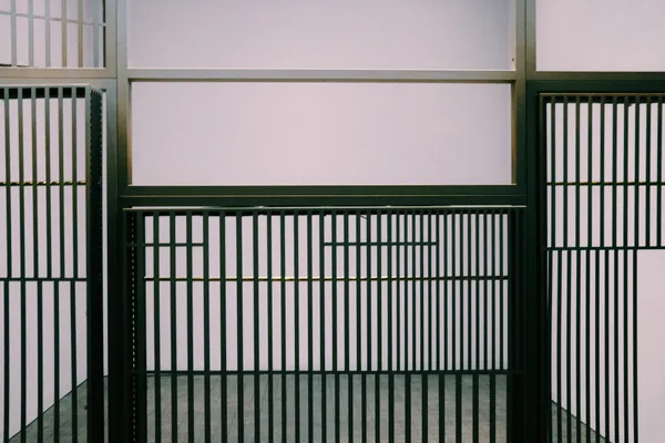 DSCF2365